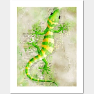 Lizard Posters and Art